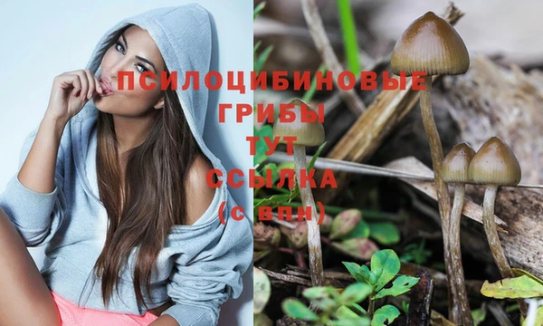 герыч Алзамай