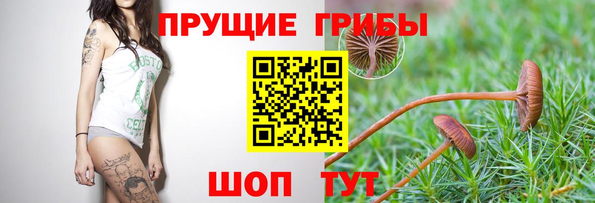 Домодедово  Галлюциногенные грибы GOLDEN TEACHER  Вход с VPN 