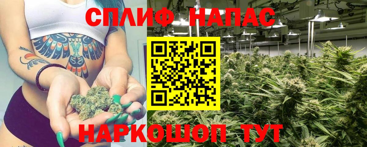 Домодедово  МАРИХУАНА семена  Бошки Шишки семена  Вход с VPN  Шишки марихуана THC 21%  Каннабис THC 21% 